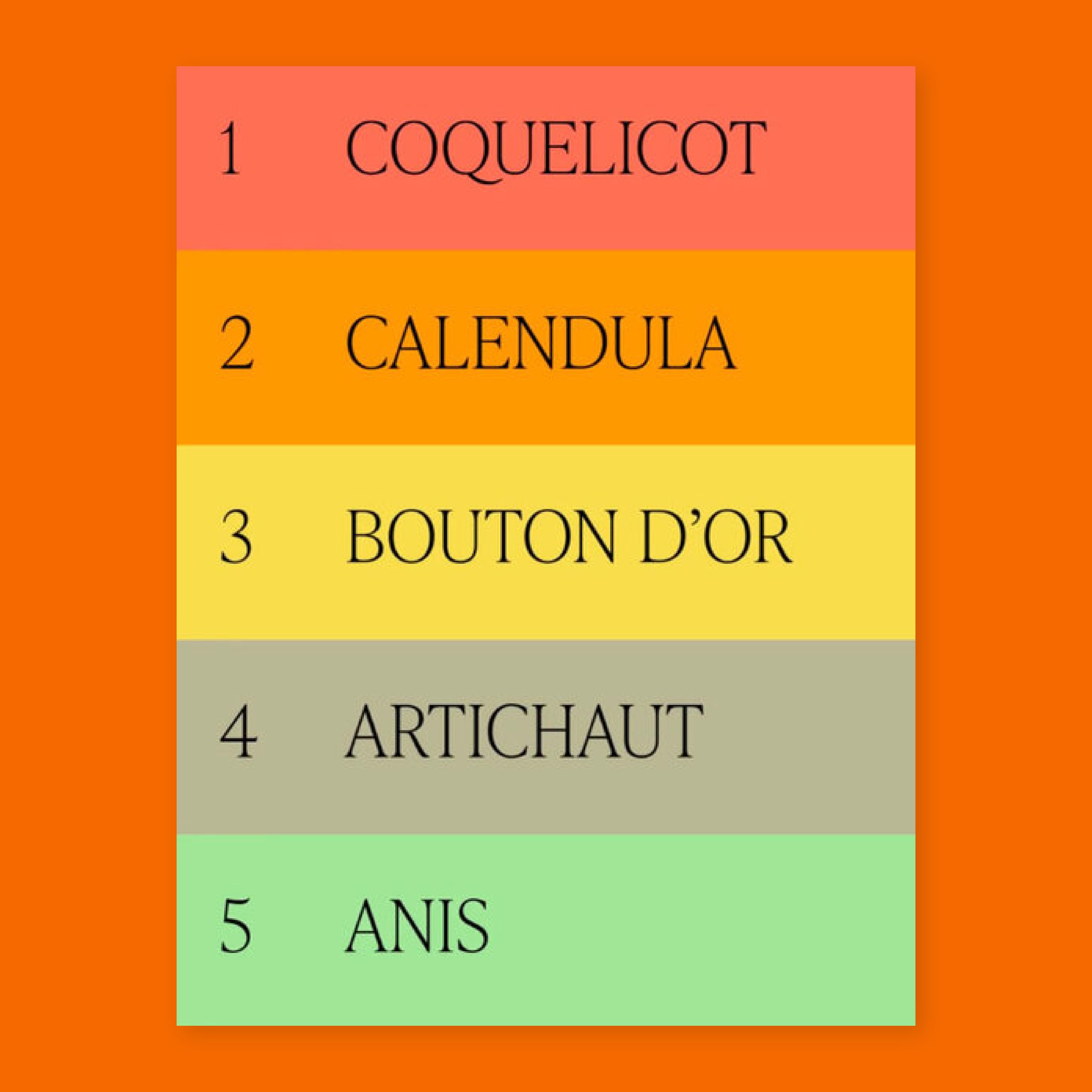 2026fonttrends_Ivy Presto