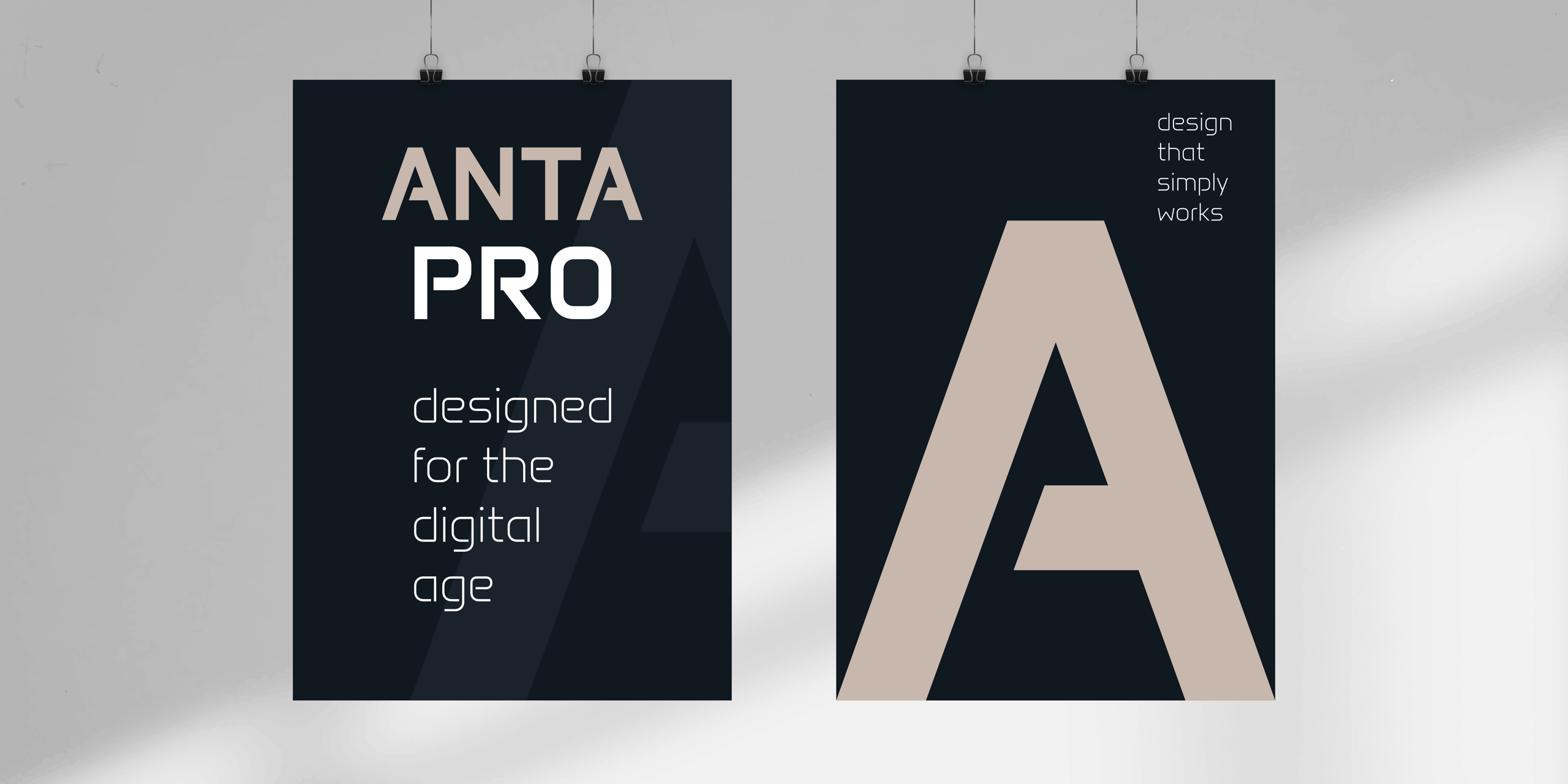AntaPro-Poster