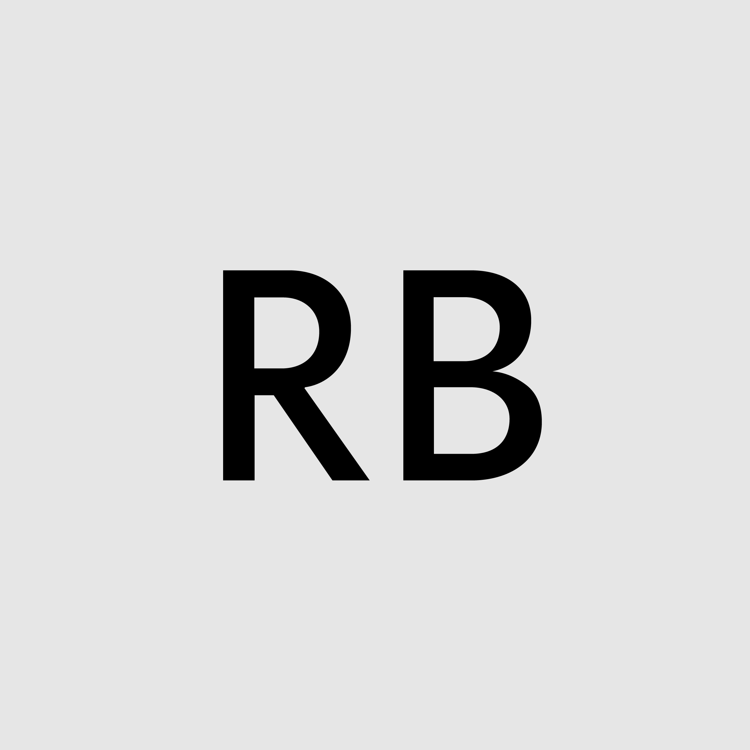 Raiden van Bronkhorst