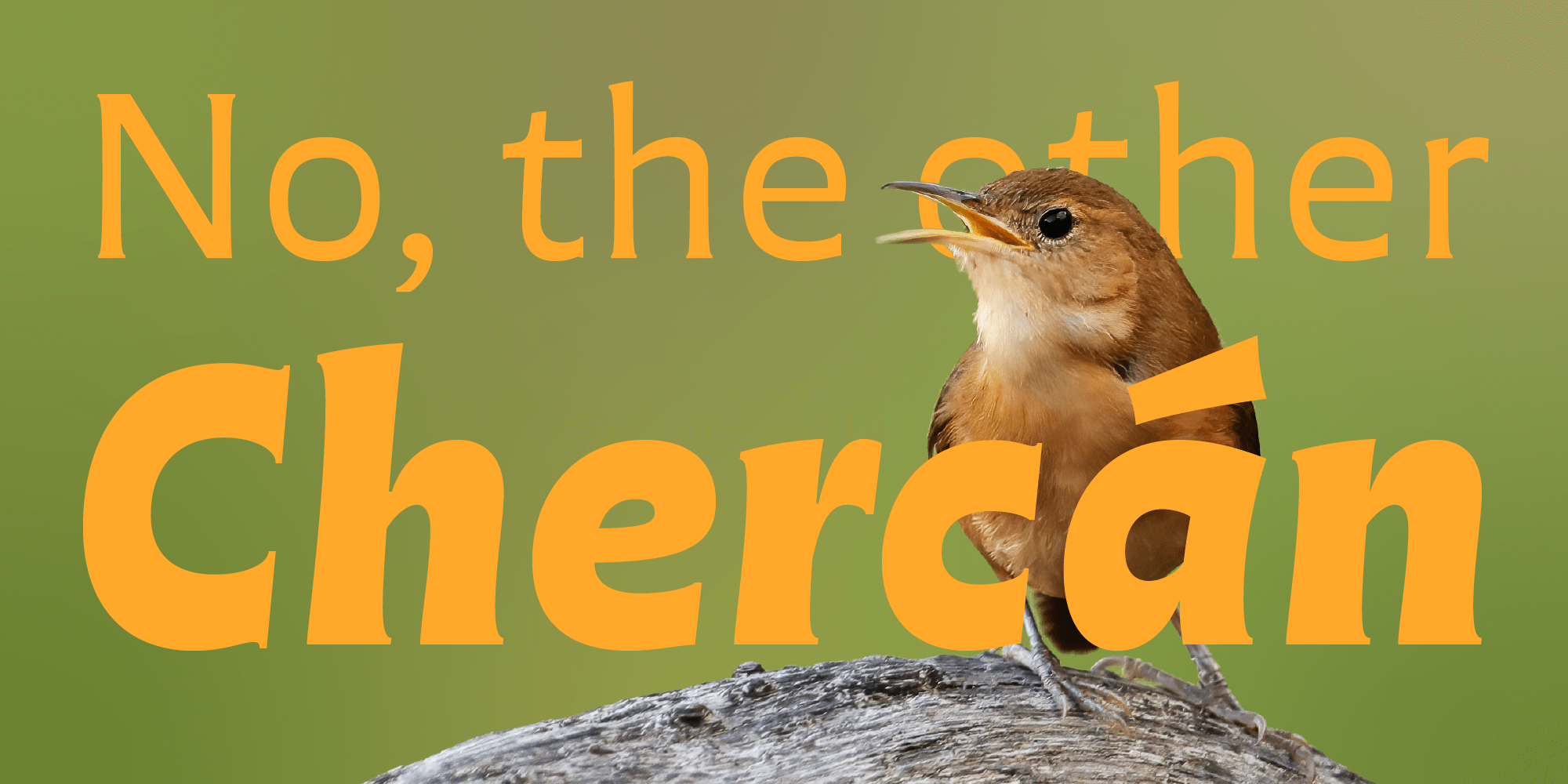 chercan-banner_Artboard_1_(1).png
